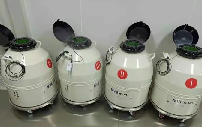 mve液氮罐 mve液氮罐