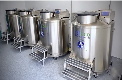 mve氣相液氮罐 mve氣相液氮罐