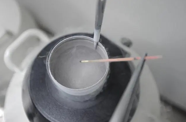 細(xì)胞凍存 細(xì)胞凍存