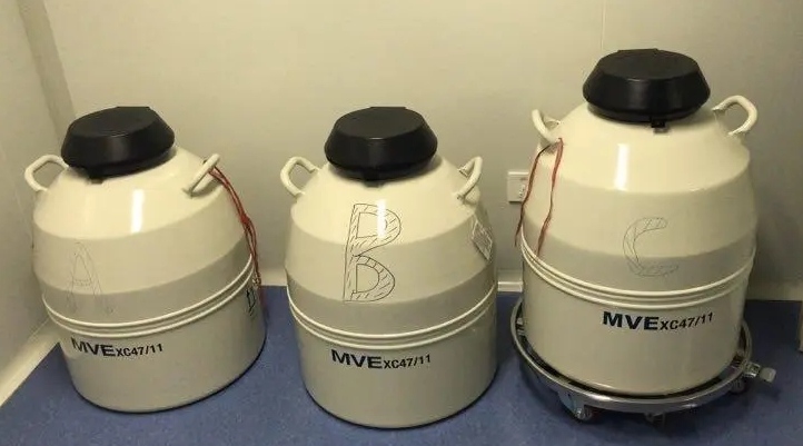 mve液氮罐 mve液氮罐