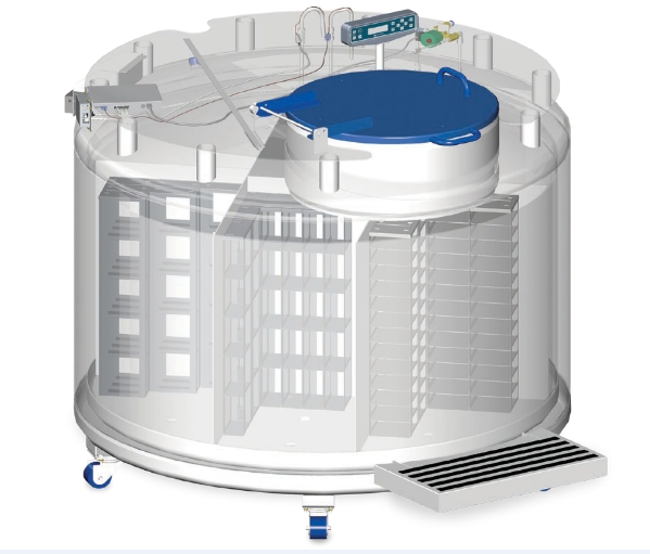 氣相液氮罐結(jié)構(gòu) 氣相液氮罐結(jié)構(gòu)