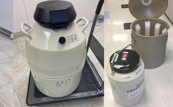 液氮容器 液氮容器