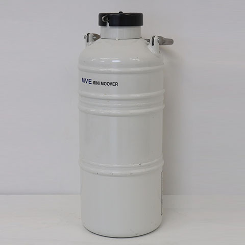 mve minimoover mve minimoover