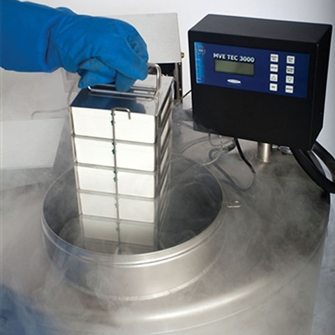 氣相液氮罐監控系統 氣相液氮罐監控系統