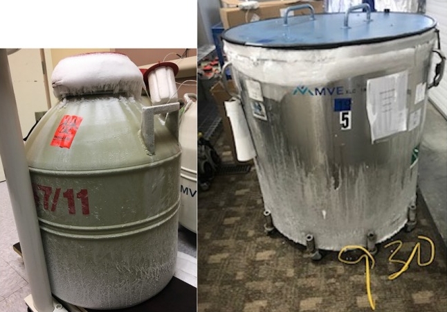 氣相儲(chǔ)存型 氣相儲(chǔ)存型