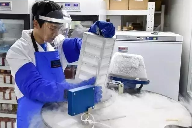 低溫凍存 低溫凍存